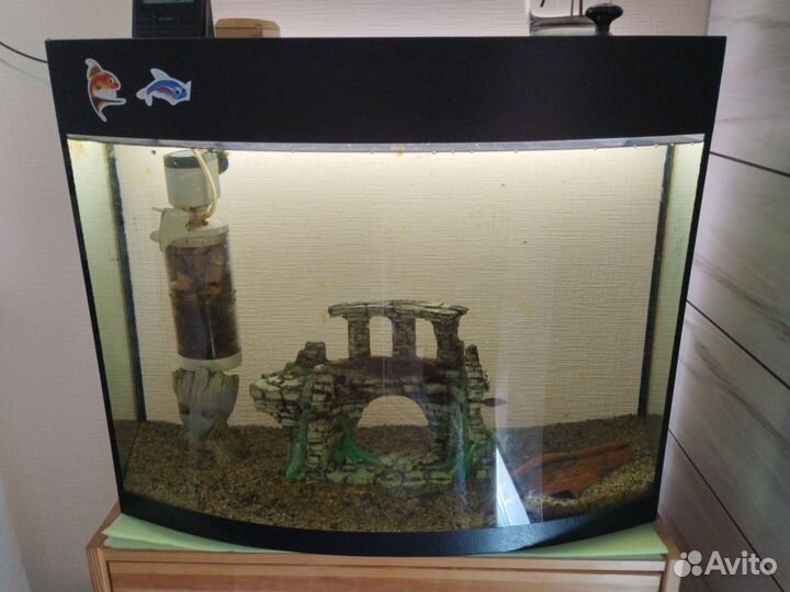 Аквариум