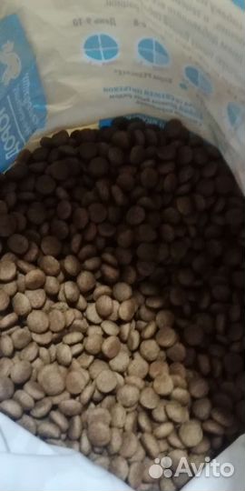 Сухой корм для собак