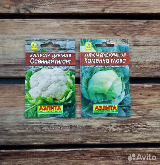 Семена капусты