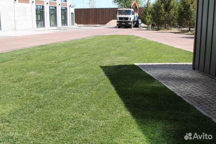Укладка и продажа рулонного газона