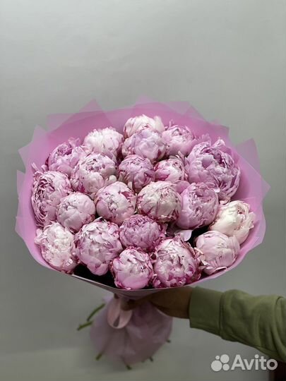 Пионы крупные