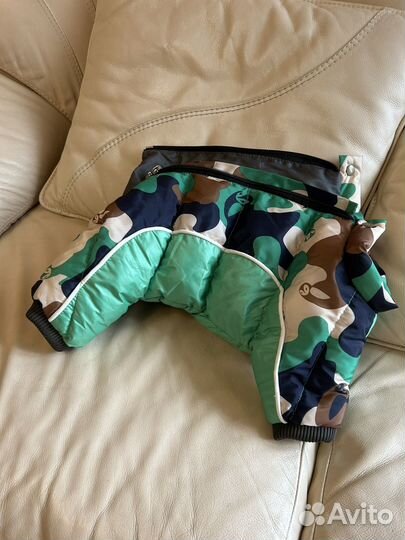 Зимние комбинезоны на маленькую собачку. Кобель