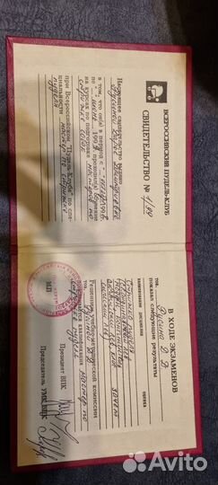 Грумер стрижка пуделей