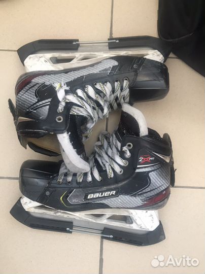 Вратрская форма взрослая