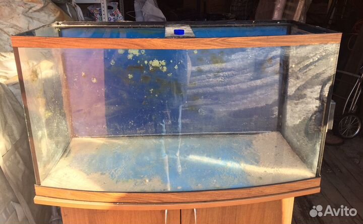 Аквариум