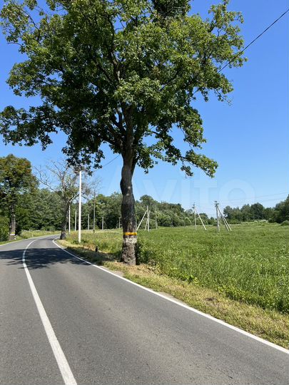 Участок 50 сот. (ИЖС)