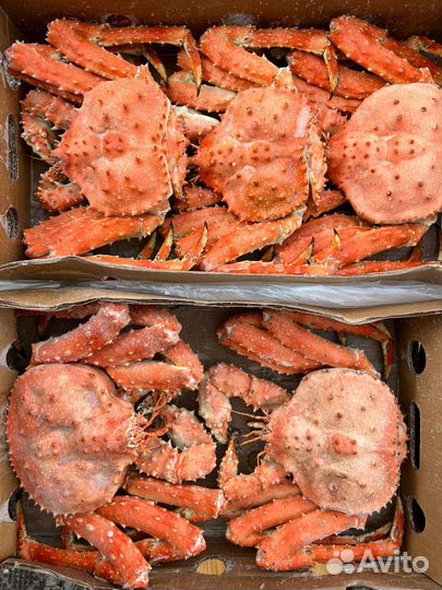Краб Камчатский Подарочный