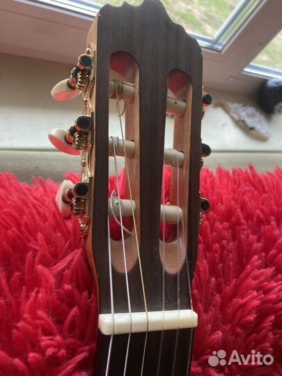 Гитара 6 струн Dowina Woody Series CL 999