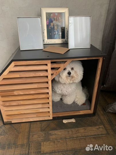 Вольер для Большой собаки