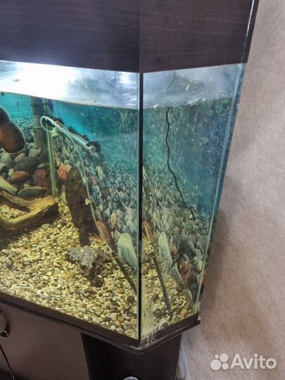 Аквариум с тумбой 400 литров