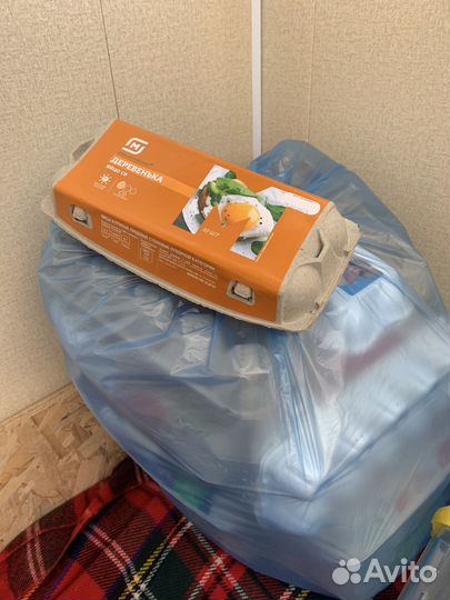 Лотки для яиц