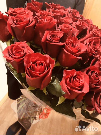 51 роза Эквадор