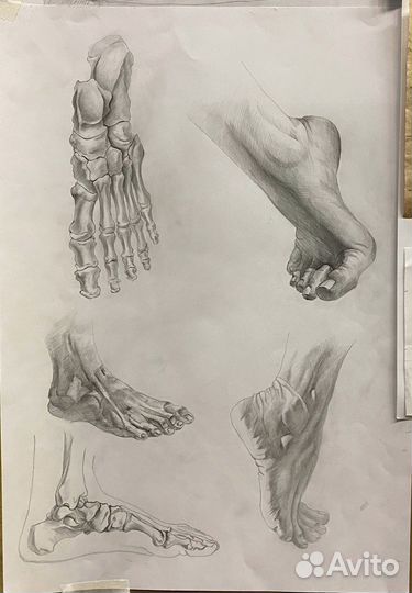 Репетитор по рисунку