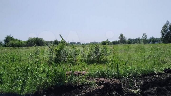 Участок 2 га (СНТ, ДНП)