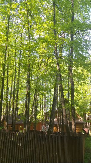 Дом 90 м² на участке 6 сот.