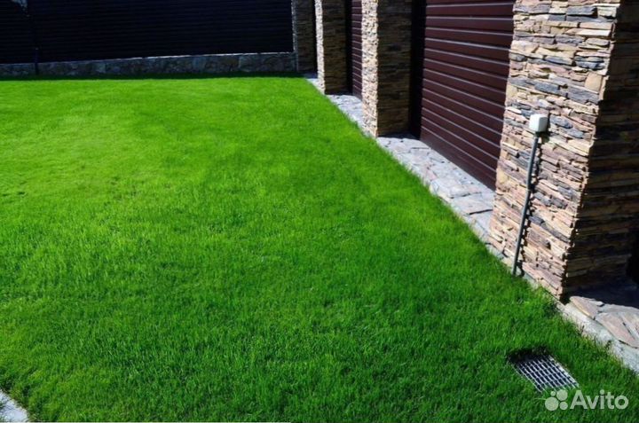 Рулонный газон 
