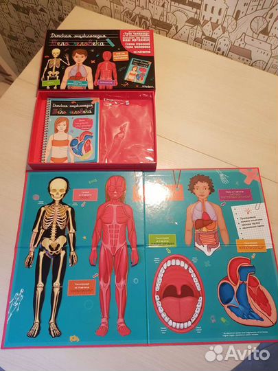 Детская энциклопедия тело человека Махаон