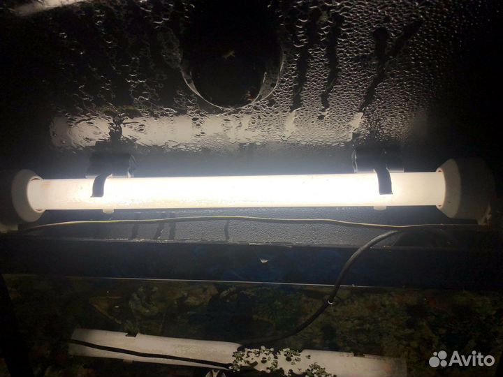 Аквариум и все что на фото