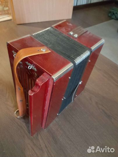 Баян тульский