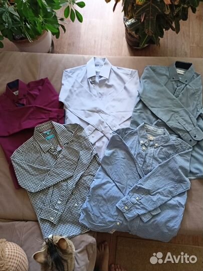 Рубашки в школу128, состояние отличное