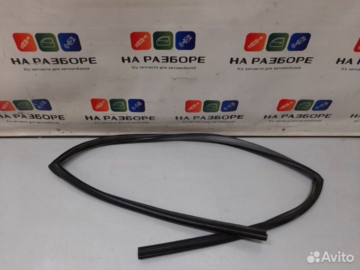 Уплотнительная резинка стекла двери задняя правая