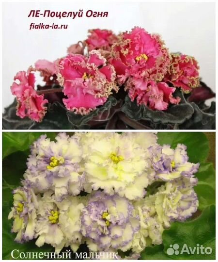 Горшки для цветов 11см, для фитильного полива