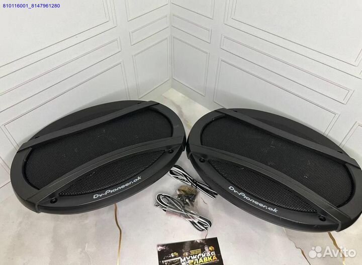 Автоколонки Pioneer TS-A6995 1800W 15x23 см