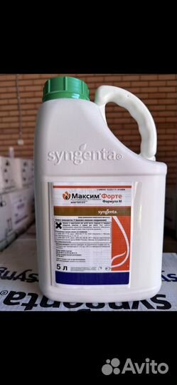 Максим форте