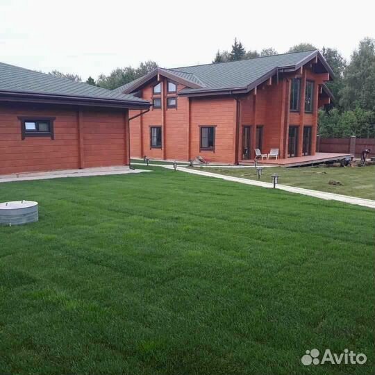 Рулонный газон /продажа/укладка