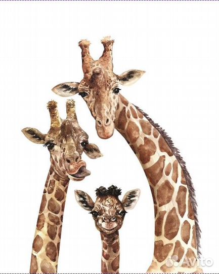 Авторские фотообои 