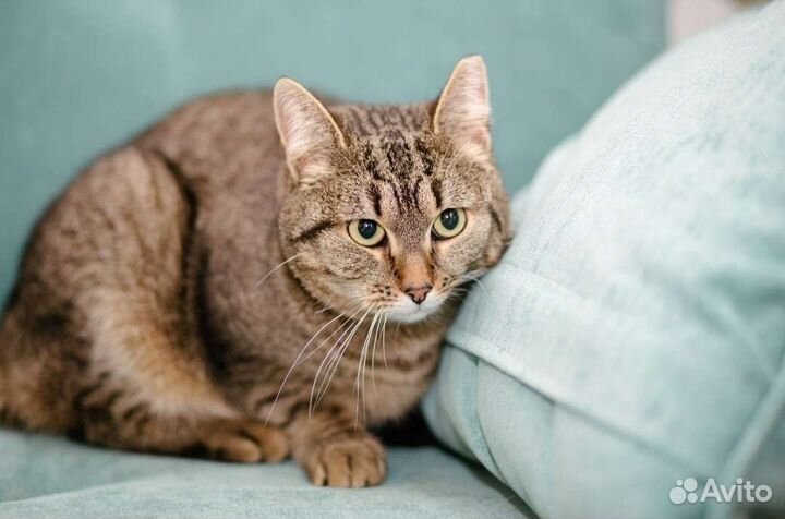 Зимняя сказка