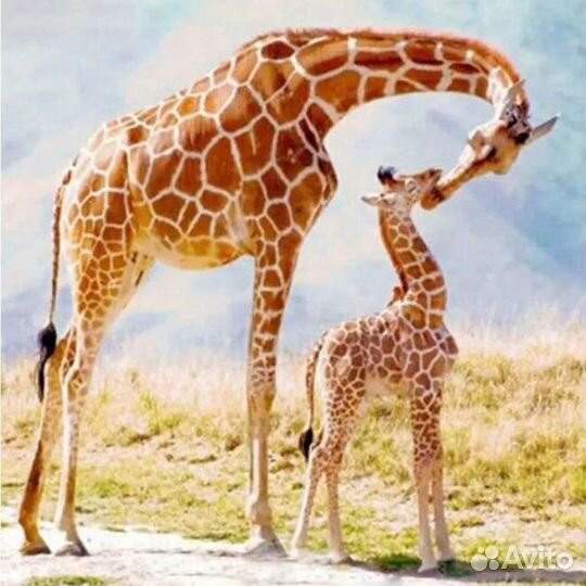 Алмазная мозаика