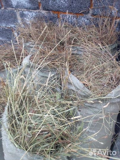 Сено в мешках есть доставка звоните