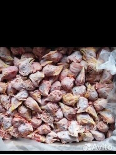 Куриные лапы, головы,печень,желудок