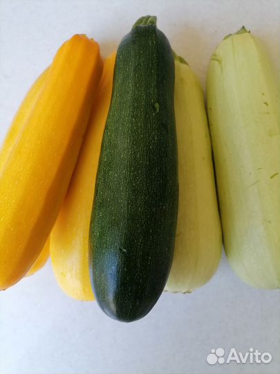 Кабачки-цуккини,щавель