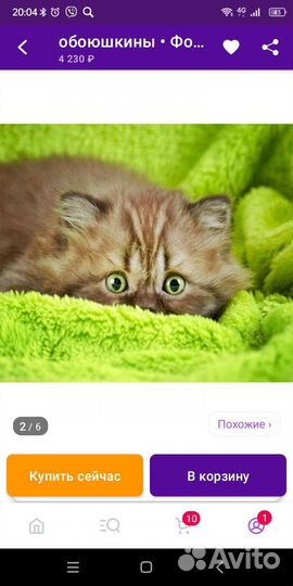 Фотообои новые