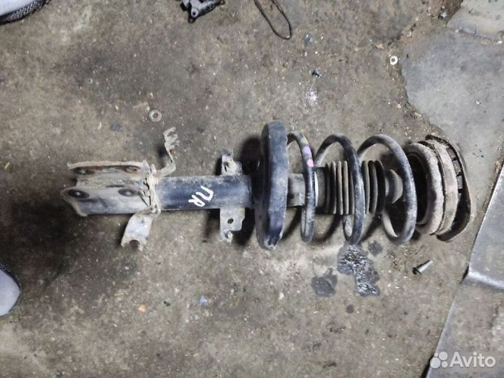 Стойка передняя правая Renault Megane 3