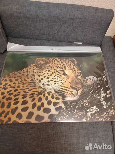 Макси пазлы для детей животные новые