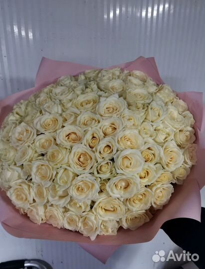 Букет роз. Розы