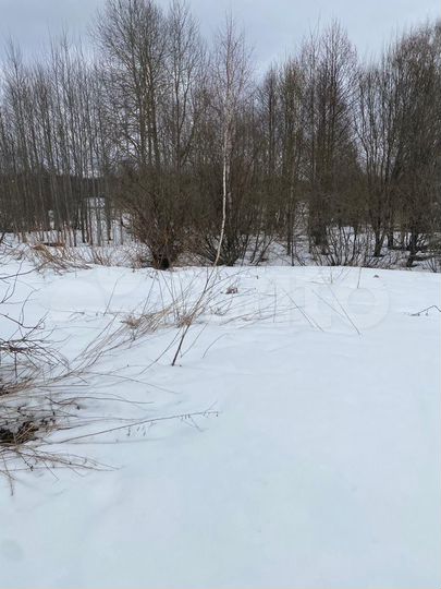 Дом 32,6 м² на участке 19 сот.