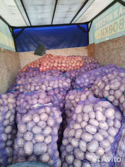 Продам картофель оптом