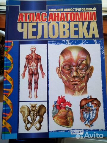 анатомия человека 360°. большой атлас анатомии человека | перез винсент. «анатомия человека. иллюстрированный атлас анатомии человека. иллюстрационный атлас анатомии человека.