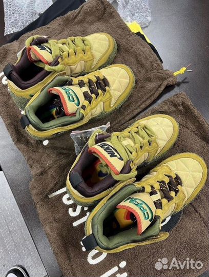 Nike dunk cactus plant flea market