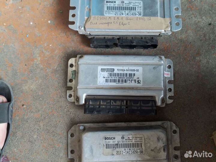 Эбу январь7.4