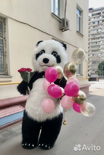 Поздравление от Панды; Медведя белого