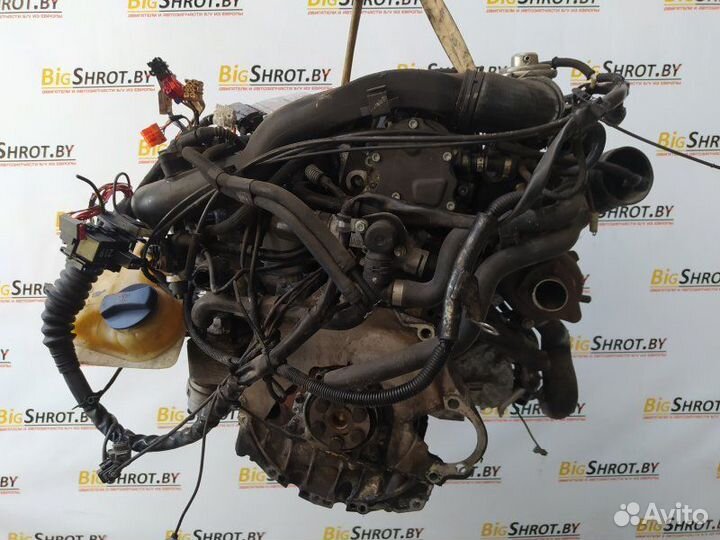 Двигатель AVF Volkswagen Passat 5/B5+ (1996-2005)