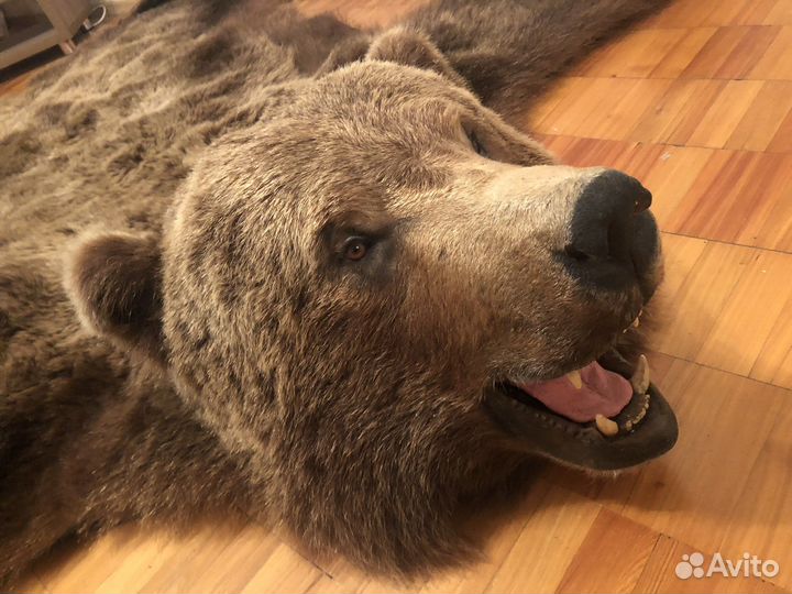 Шкура медведя имитация