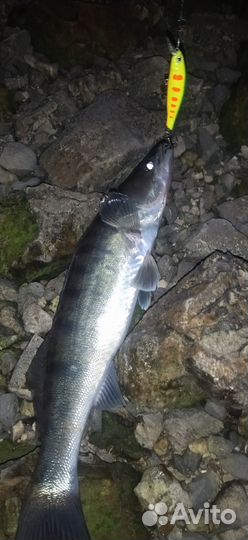 Воблер универсальный VAR