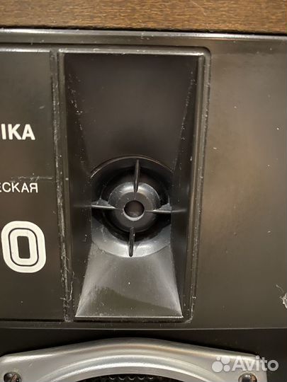 Колонки 35 ас-013 «Radiotehnika S-70»