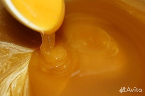 Мёд Липа, Цветочный, Гречишный оптом от 100 кг